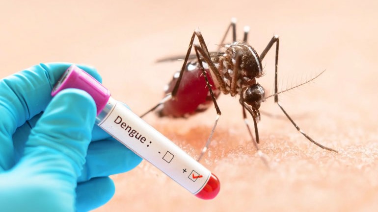 গত ২৪ ঘণ্টায় ডেঙ্গুতে আরও একজনের মৃত্যু, হাসপাতালে ৭৫৫